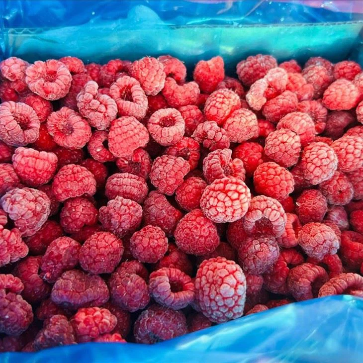 IQF Frozen Raspberries