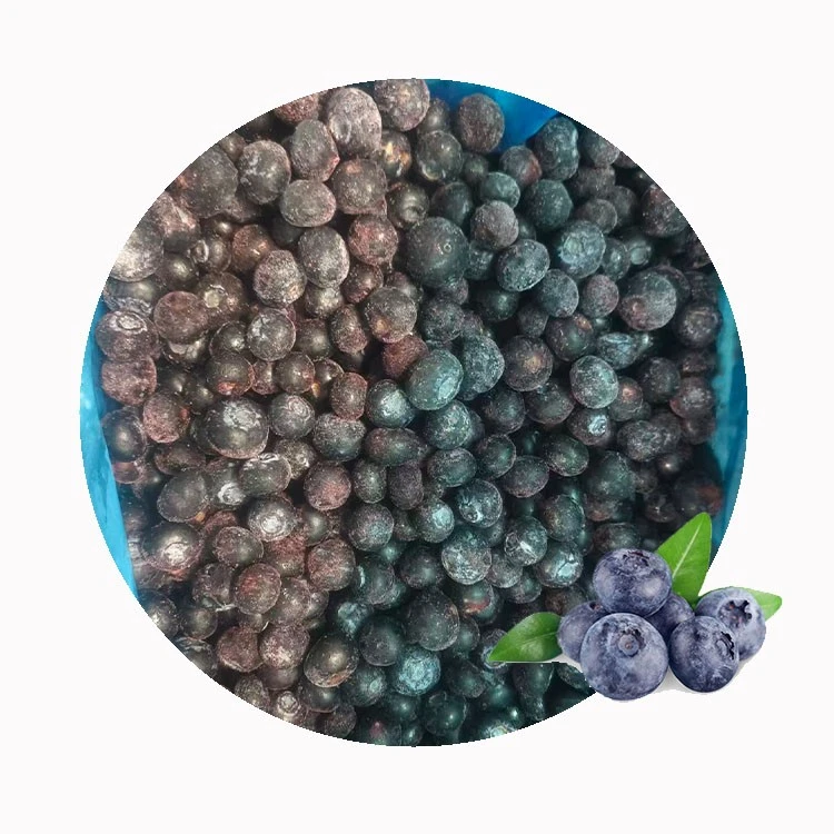 fresh blueberries selected for freezing fresh blueberries selected for freezing