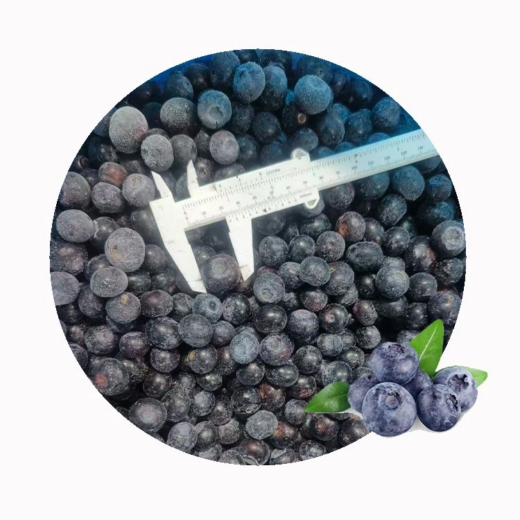 sorted blueberries ready for tray freezing sorted blueberries ready for tray freezing