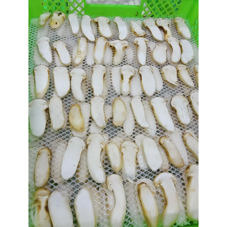 Matsutake Mushrooms slices raw-material reference; frozen status unverified