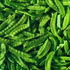 אפונה ירוקה שלג